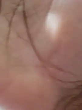 hole davidd online show from 11.16.25