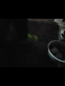 Snapshot of 0815lukas2024 chatting on 11.16.25 0815lukas2024 online show from 11.16.25