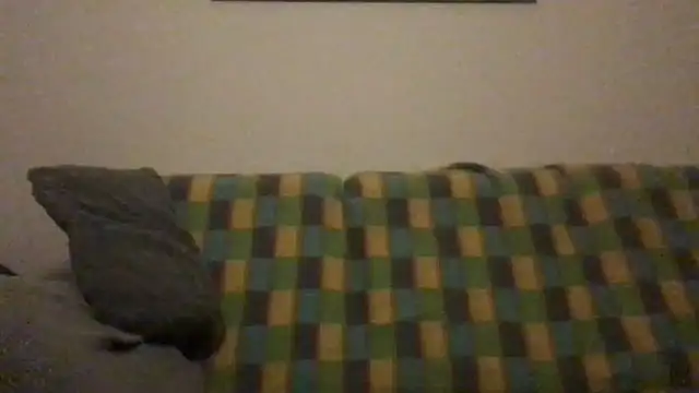 Snapshot of Totipro69 chatting on 12.04.24 Totipro69 online show from 12.04.24