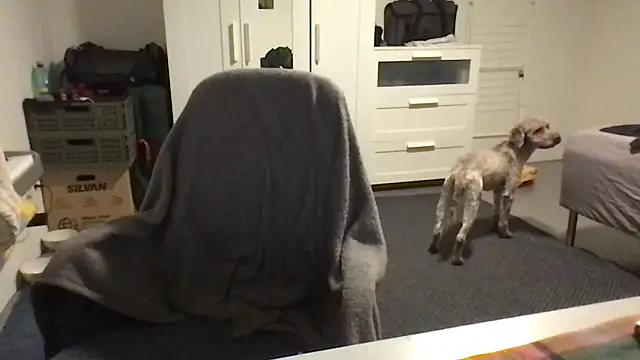 Snapshot of Totipro69 chatting on 02.16.25 Totipro69 online show from 02.16.25