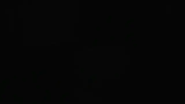 guy master online show from 12.07.24