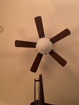 holyeroticss online show from 11.28.25