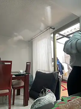 Salome golvert online show from 03.02.26