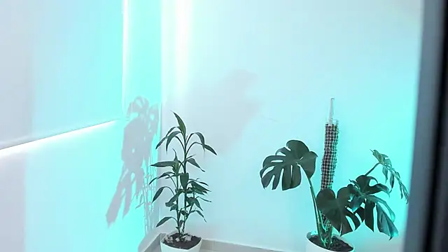 Snapshot of rossth1 chatting on 03.20.26 rossth1 online show from 03.20.26