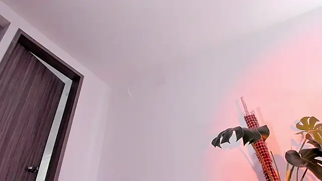 Snapshot of rossth1 chatting on 04.11.26 rossth1 online show from 04.11.26