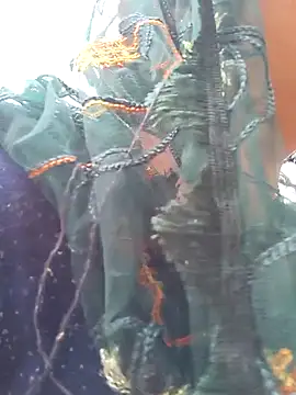 Snapshot of Simaran_bhabhi chatting on 03.16.25 Simaran bhabhi online show from 03.16.25