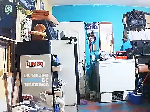 DiAntool online show from 01.18.26