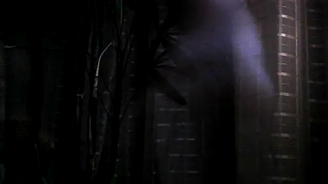 Snapshot of funguybr36 chatting on 09.19.25 funguybr36 online show from 09.19.25