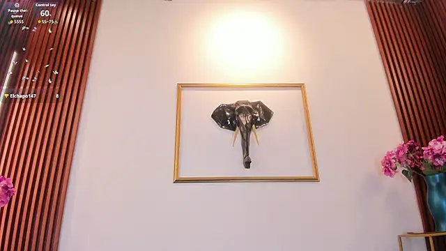 Zayda 1 online show from 02.11.26