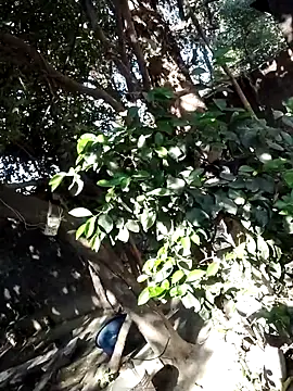 Hot-rubina online show from 03.06.25