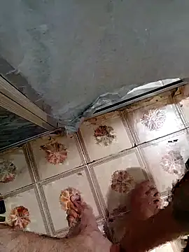 Din0071 online show from 12.22.25