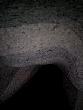 Janle 19c online show from 12.26.24