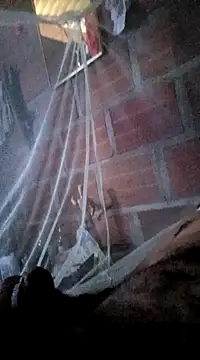 Janle 19c online show from 01.07.25