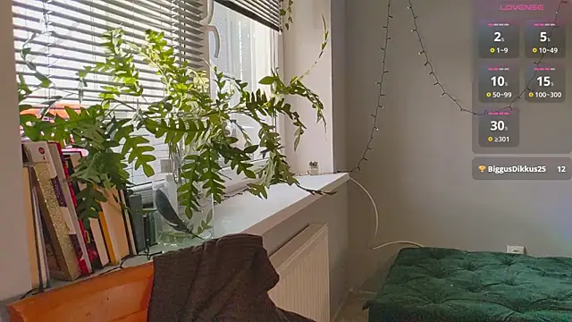 monlight  dana online show from 01.13.25