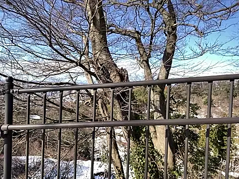 ge3noxxx online show from 01.07.26