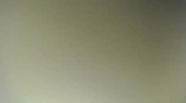 Snapshot of Lovensetest chatting on 03.18.25 Lovensetest online show from 03.18.25