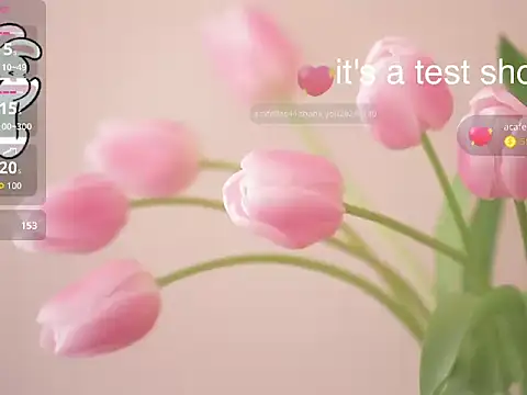 Snapshot of Lovensetest chatting on 11.11.25 Lovensetest online show from 11.11.25