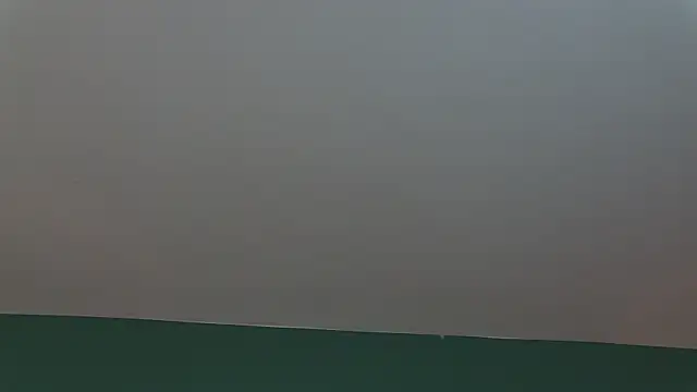 AlicePirs online show from 01.25.25