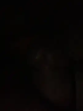 ThickD619 online show from 12.11.24