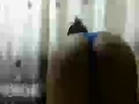 Sweet desireh online show from 05.20.26