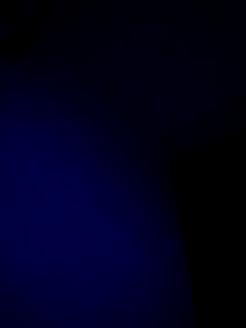 McdyllanXX online show from 01.17.25