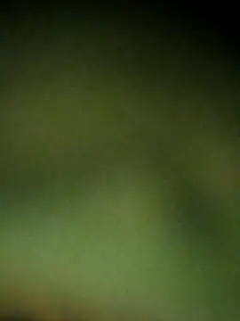McdyllanXX online show from 05.20.26