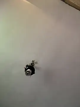 Brando2585 online show from 04.03.26