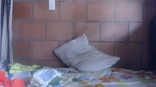 jgcolombia17 online show from 03.08.25