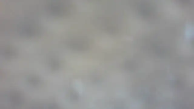 RoseRed69 online show from 10.25.25