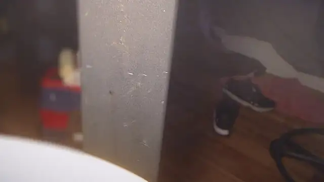 flexingplexico online show from 03.01.25