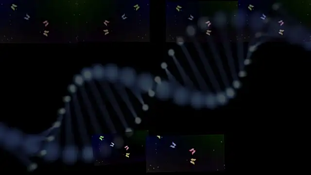 OwenBluee online show from 01.29.25