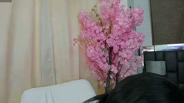  cat 18 online show from 03.21.25