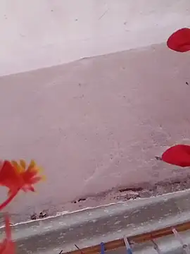 HOTDEEKCHA online show from 03.15.25