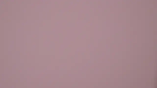 RissaRheys online show from 03.01.25