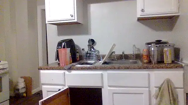 AllLeggs online show from 12.31.24