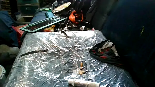 robeaulieu02 online show from 11.24.25