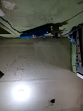 Paola16 6 online show from 04.11.26