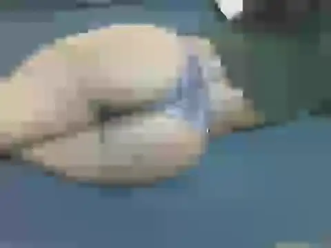 Snapshot of lella-0 chatting on 10.16.25 lella-0 online show from 10.16.25