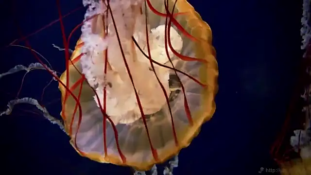 Snapshot of streamy_test12 chatting on 11.18.25 streamy test12 online show from 11.18.25