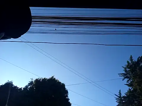 Snapshot of weedmanhot28 chatting on 01.30.25 weedmanhot28 online show from 01.30.25