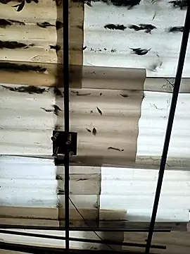 Snapshot of weedmanhot28 chatting on 09.21.25 weedmanhot28 online show from 09.21.25