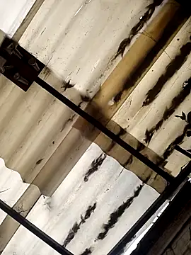 Snapshot of weedmanhot28 chatting on 11.02.25 weedmanhot28 online show from 11.02.25