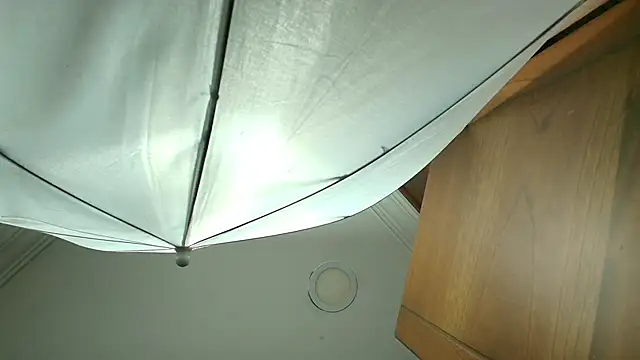 stella xue online show from 03.19.25