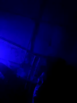 jordontheone1 online show from 11.05.25