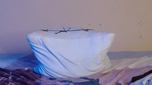 daiki sx online show from 01.08.25