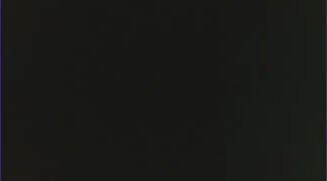 Geisha Seniers online show from 02.15.25