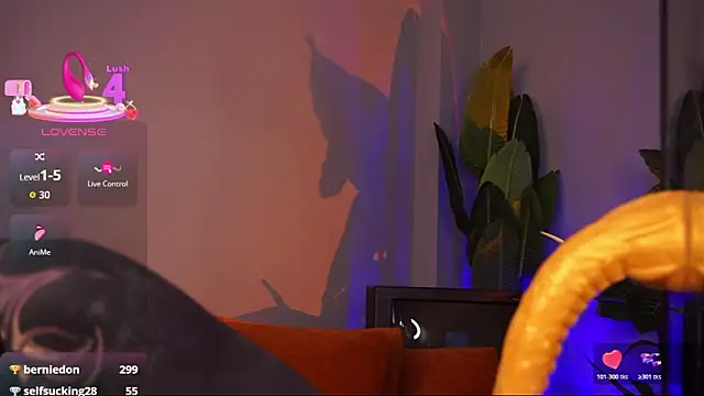 EvaCanton online show from 03.11.26