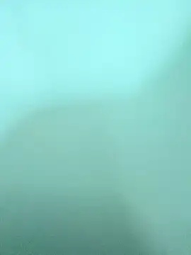 ZTahya online show from 12.14.25