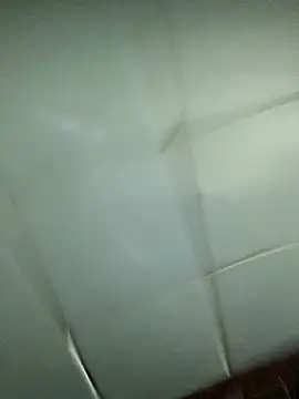 Snapshot of luna_asss chatting on 02.14.26 luna asss online show from 02.14.26