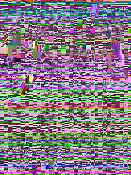 beauty alina online show from 03.16.26